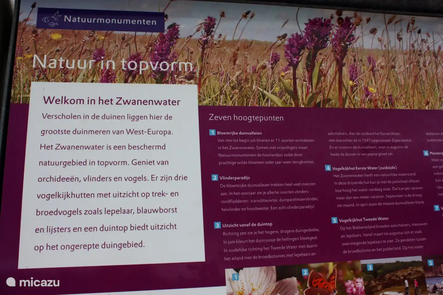 Experience the 7 nature highlights in nature park Het Zwanenwater. Do not miss it during your stay.