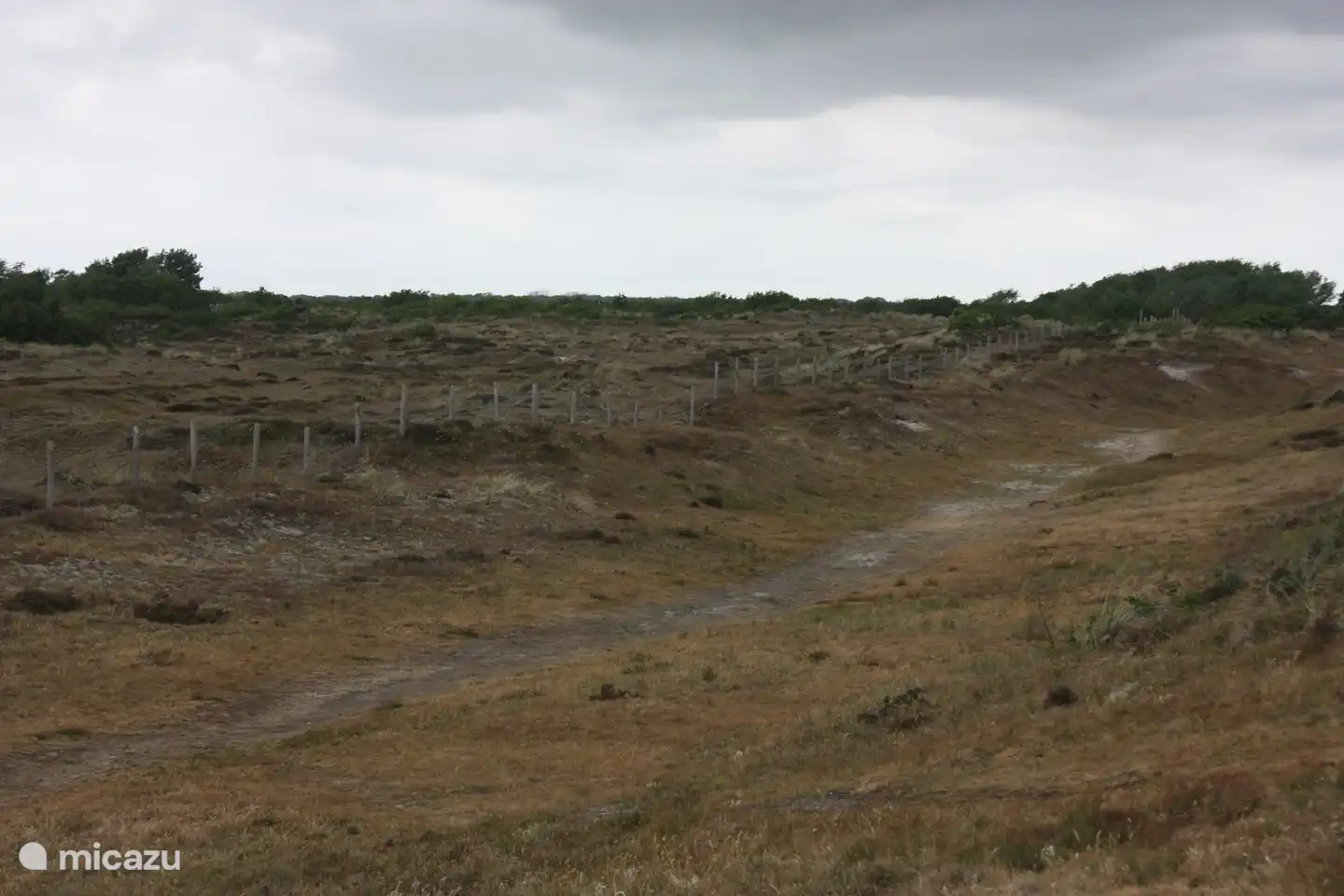 Dune landscape in national park Het Zwanenwater
