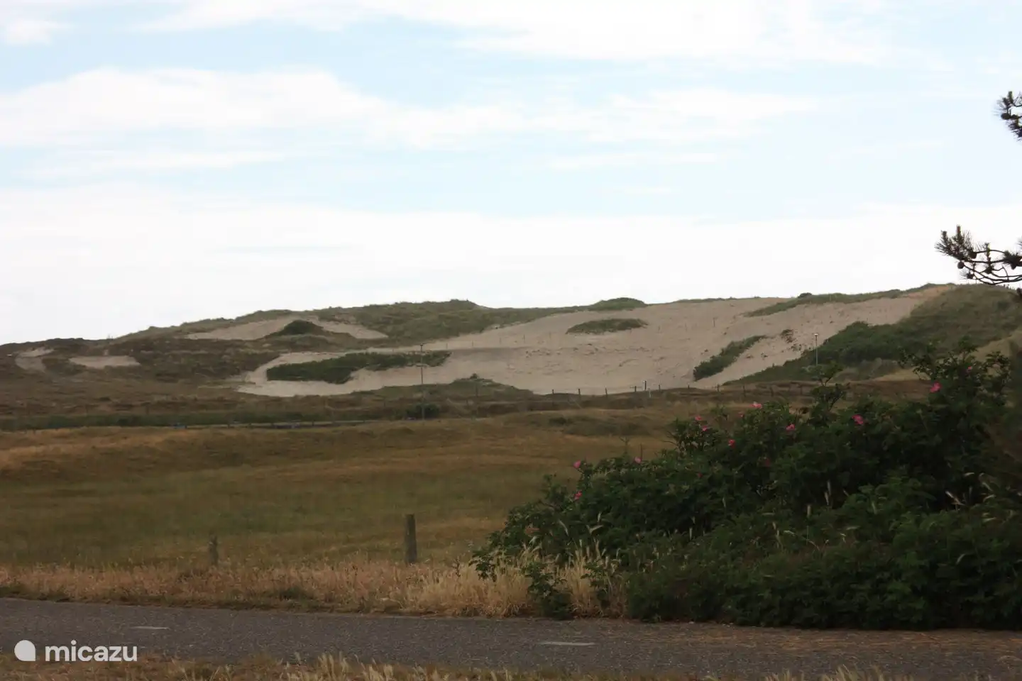 Dunes just outside Callantsoog