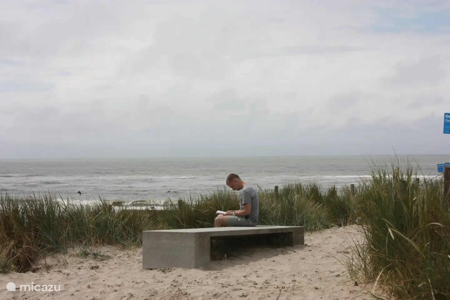 Read a book on top of the dune.