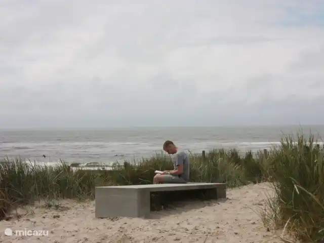 Appartement Plage Retour à la Côte | Pays-Bas, Hollande du Nord, Callantsoog - appartement Lire un livre au sommet de la dune.