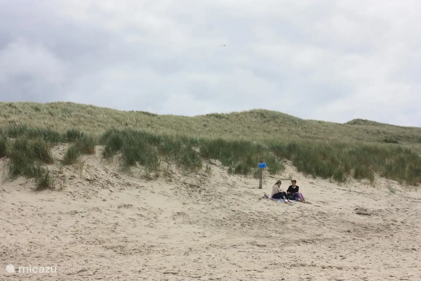 Relax on the beach in the lee of the wind against the dune.