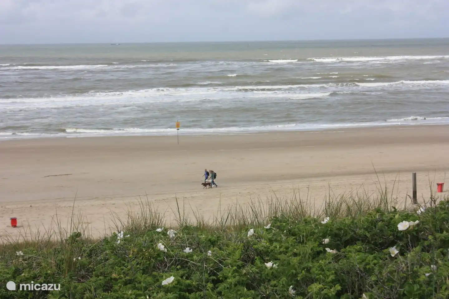 Walking on the beach. In the season, the dog must be kept on a lead, unless you go early or very late.