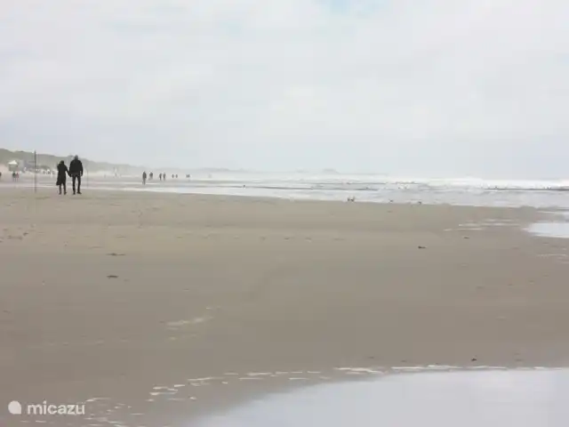 Appartement Plage Retour à la Côte | Pays-Bas, Hollande du Nord, Callantsoog - appartement Marcher sans fin
