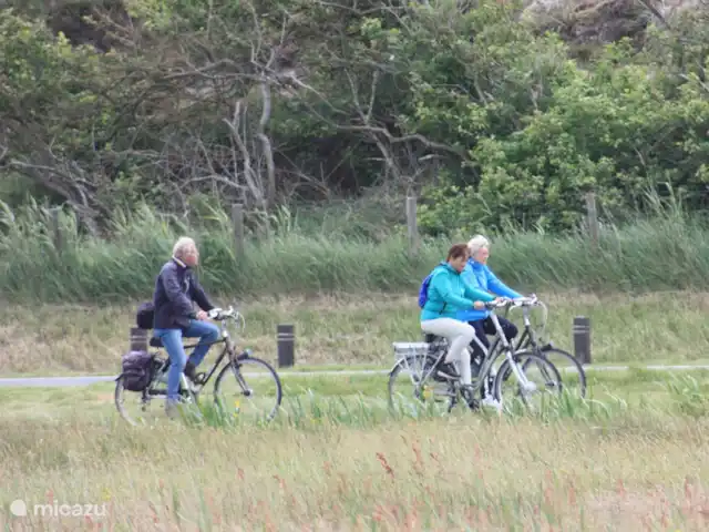 Appartement Plage Retour à la Côte | Pays-Bas, Hollande du Nord, Callantsoog - appartement Divers itinéraires cyclables dans la région à travers les dunes, les prairies, les champs de bulbes (au printemps), la forêt, les villages et la ville de Schagen. Aussi pratique : magasin de vélos au coin de la rue pour les réparations. Regardez Conseils du propriétaire pour les différents itinéraires cyclables.