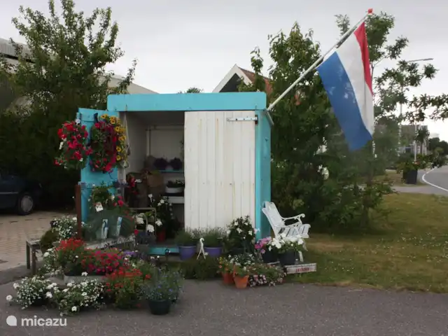 Appartement Plage Retour à la Côte | Pays-Bas, Hollande du Nord, Callantsoog - appartement Fleurs et fruits frais à vendre le long de la route de Schagen.