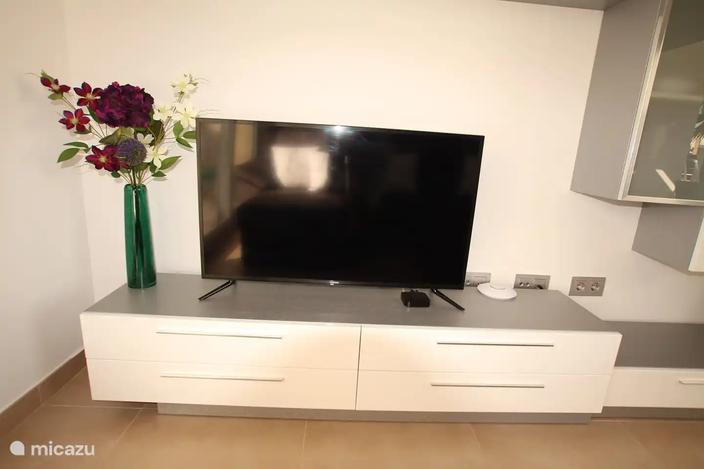 Breedbeeldtelevisie met Nederlandse kanalen.