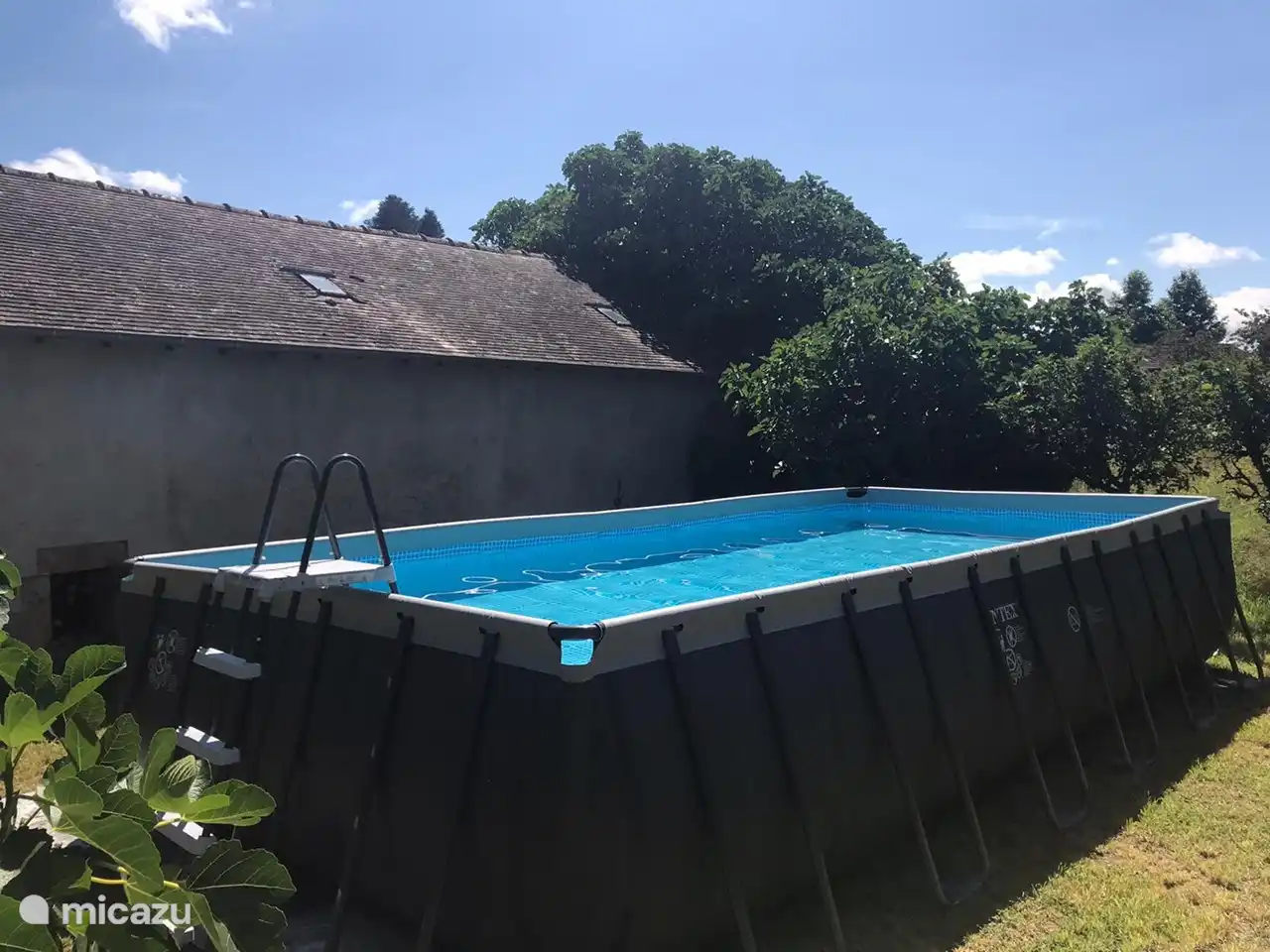 Der Pool liegt im Schatten der Bäume. Gartenaussicht.