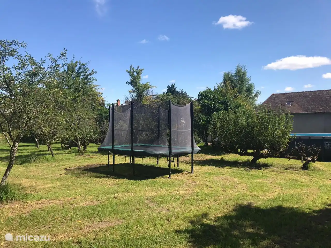Das Trampolin im Garten.
