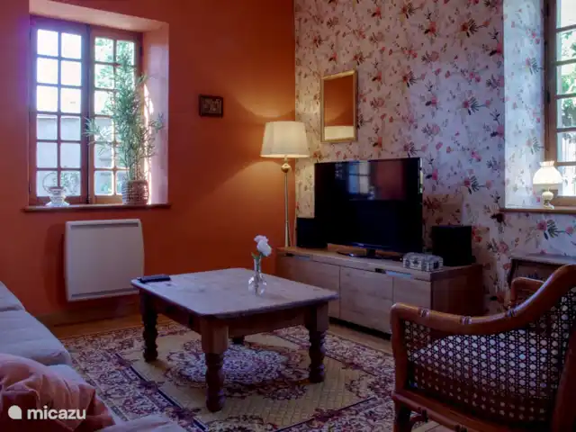Le Plus Beau | France, Allier, Theneuille - maison de vacances La salle TV/jeux