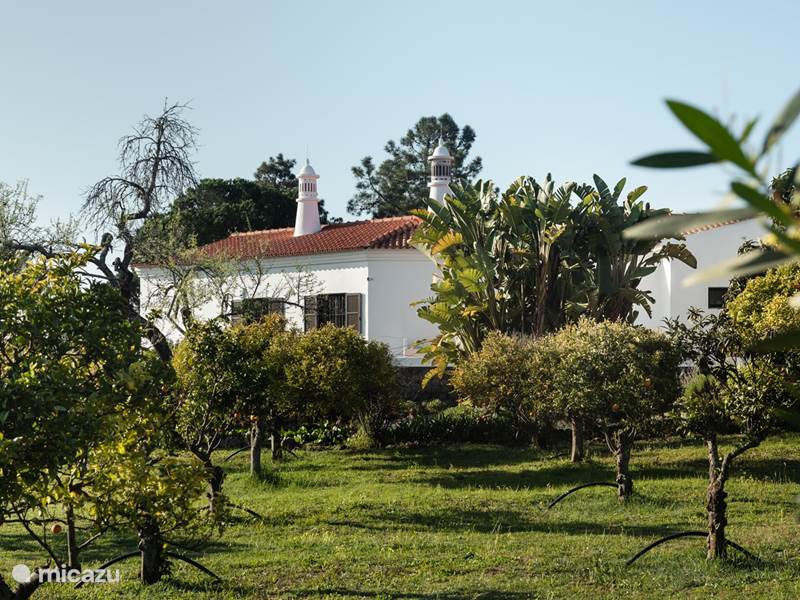Ferienwohnung Portugal, Algarve, Vale do Garrão Villa Casa Figueiras - in Strandnähe