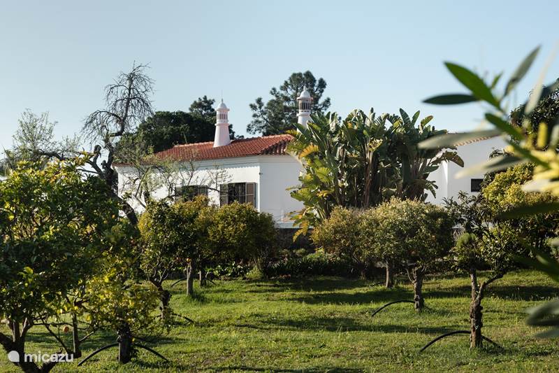 Vakantiehuis Portugal, Algarve, Vale do Garrão Villa Casa Figueiras - dicht bij strand