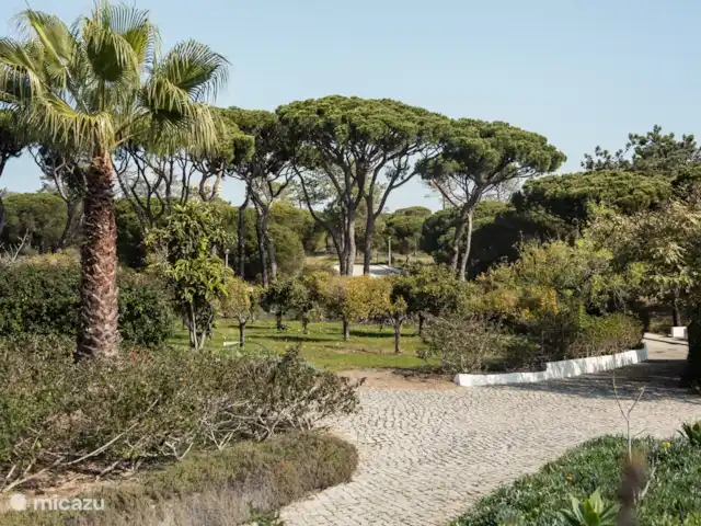 Casa Figueiras - proche de la plage | Portugal, Algarve, Vale do Garrão - villa Le silence autour de la maison