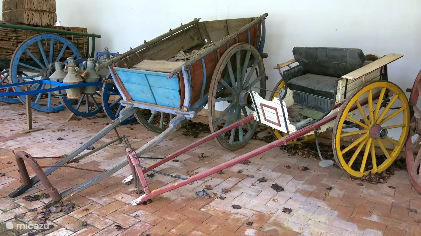 Saõ Bras de Alportel