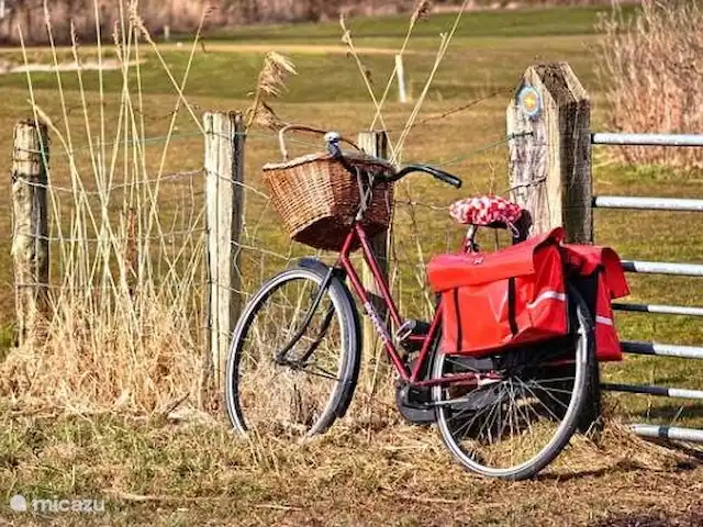 Chalet 'De Oude Gooten 2' | Pays-Bas, Hollande méridionale, Brielle - cabane en bois / lodge Et le cyclisme...
