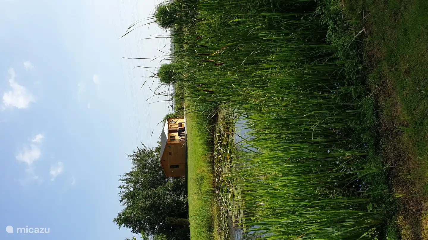 Chalet 'De Oude Gooten 2' in Niederlande, Südholland, Brielle - Blockhütte / Lodge