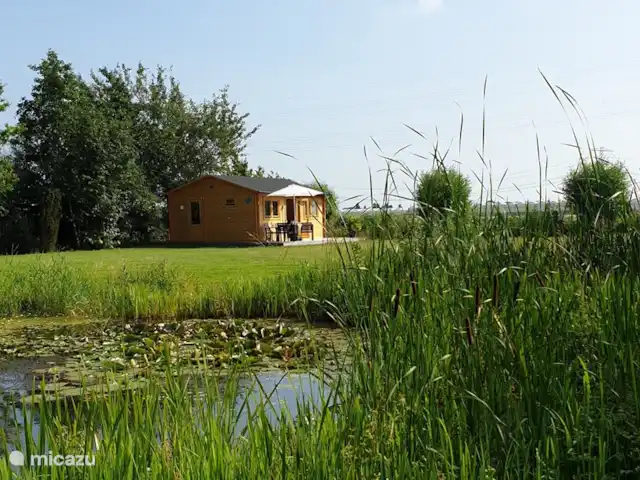 Chalet 'De Oude Gooten 2' | Pays-Bas, Hollande méridionale, Brielle - cabane en bois / lodge Étang