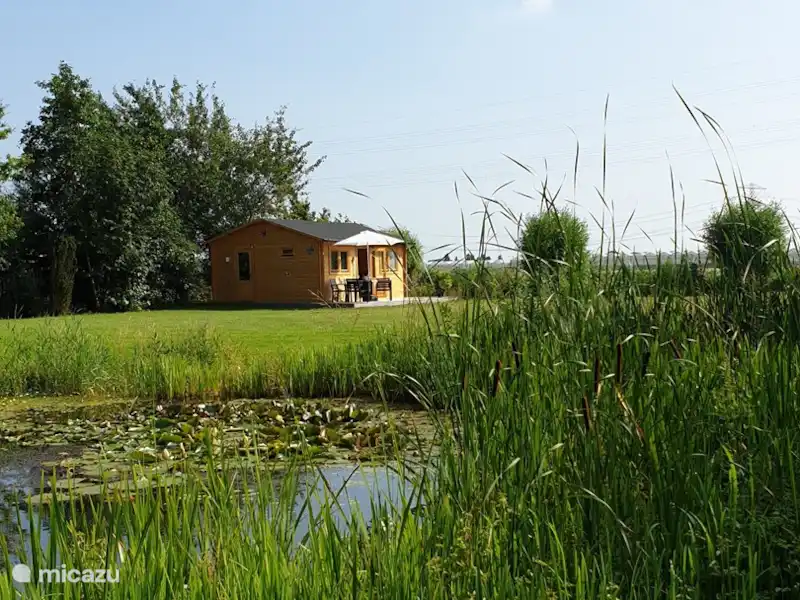 Chalet 'De Oude Gooten 2' | Pays-Bas, Hollande méridionale, Brielle - Cabane en bois / Lodge Chalet 'De Oude Gooten 2' | Pays-Bas, Hollande méridionale, Brielle - Cabane en bois / Lodge