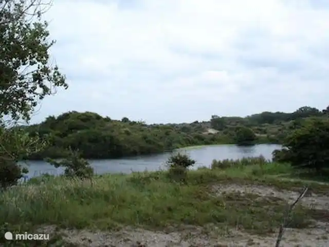 Chalet 'De Oude Gooten 2' | Pays-Bas, Hollande méridionale, Brielle - cabane en bois / lodge Eau de Quackjes