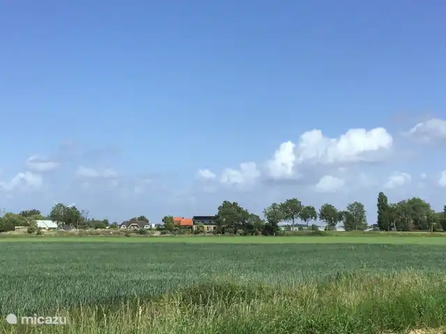 Chalet 'De Oude Gooten 2' | Pays-Bas, Hollande méridionale, Brielle - cabane en bois / lodge Vue