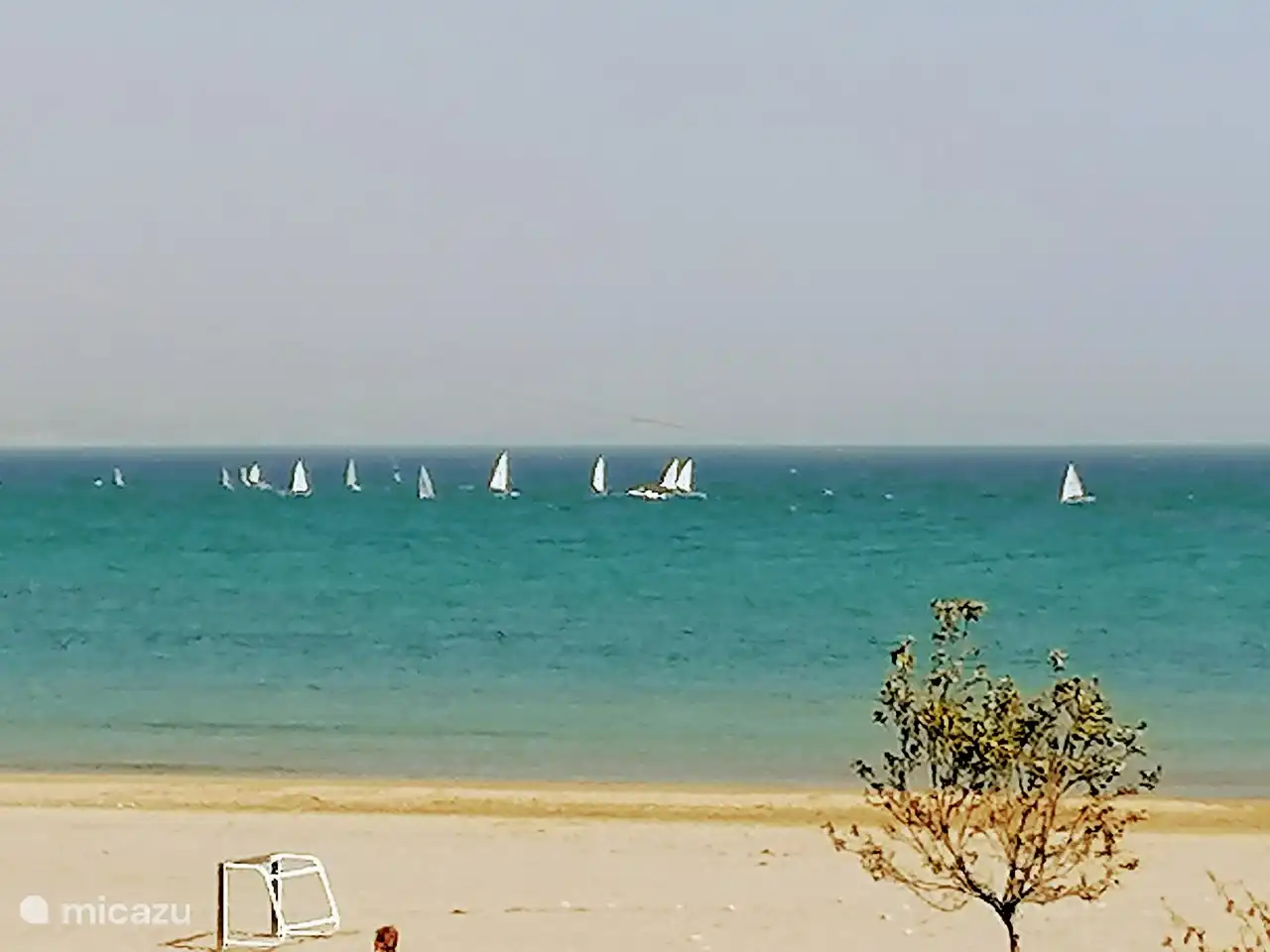 In El Campello werden verschiedene Aktivitäten organisiert, darunter Segelkurse.