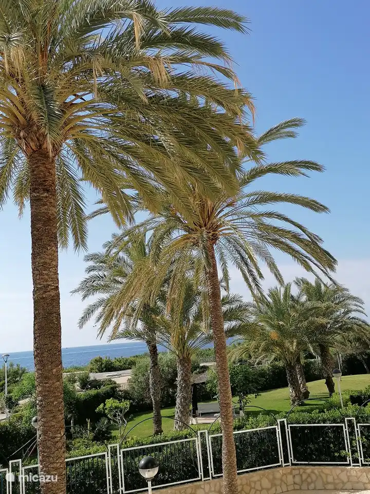 Der Komplex umfasst wunderschön angelegte Gärten mit ausgewachsenen Palmengruppen, Olivenbäumen, Sitzbereichen, einem Grill und einem Café nur für Mieter und Eigentümer.