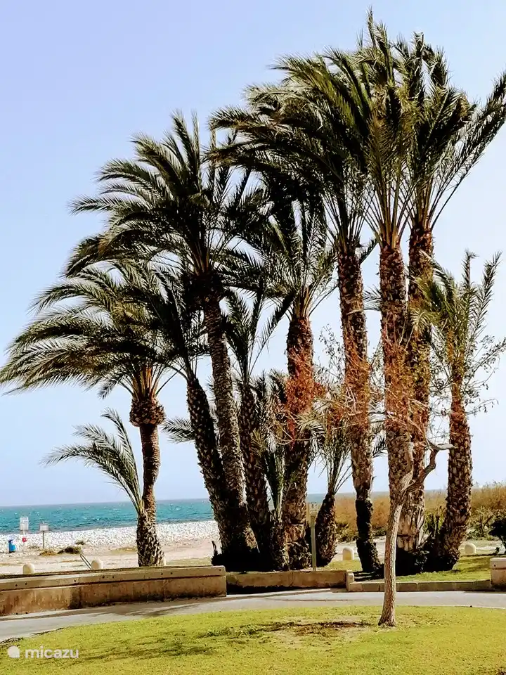 Sie können am Ende des Gartens direkt zum Strand gehen. Hier finden Sie Plätze für Beachvolleyball, Kinderspielplätze und Strandclubs oder Chiringuitos. Der Strand ist breit und richtet sich sowohl an junge als auch an ältere Menschen.