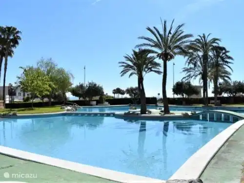 Natürlich verfügt der Komplex über einen sehr geräumigen Pool mit Palmeninsel. Darüber hinaus gibt es einen privaten Pool für die Kleinen mit Spielgeräten. Schließlich verfügt der Komplex über Tennisplätze, Minigolf, Fitnessraum und dieses Apartment verfügt über eine eigene Garage. 