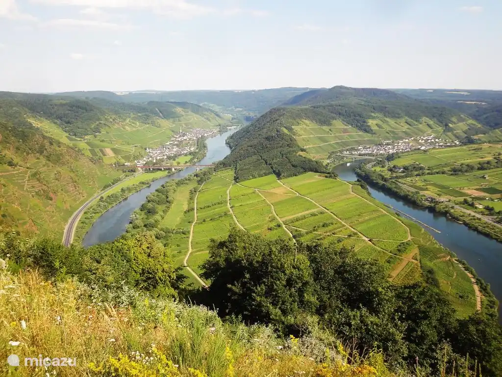Viñedo de Calmont y el más famoso Moselschleife a menos de un km