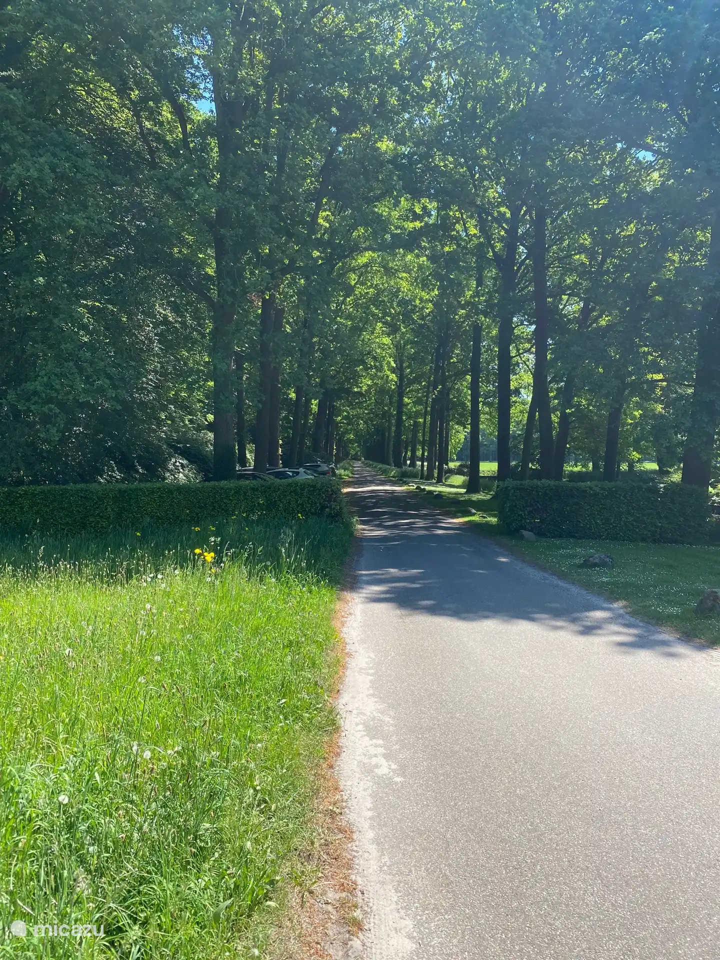 Die Zufahrtsstraße mit Parkplätzen