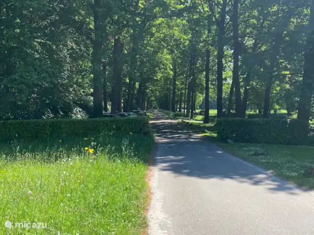 El establo de burros en Países Bajos, Güeldres, Lochem - casa vacacional La carretera de acceso con plazas de aparcamiento