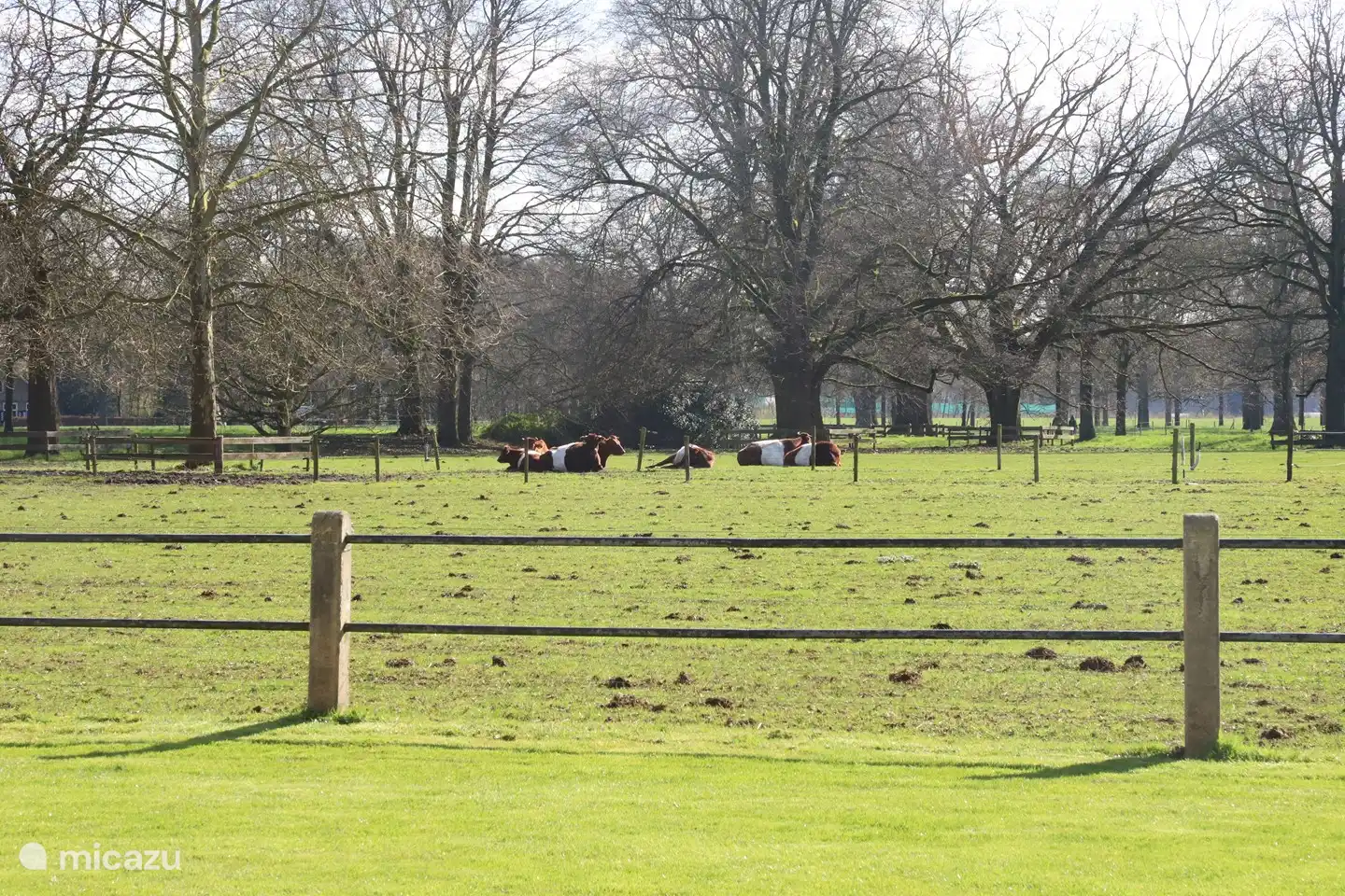 Die Tuchkeller im hinteren Teil des Schlosses
