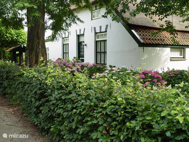 Casa vacacional Países Bajos, Güeldres, Arnhem - apartamento La antigua pequeña granja de Goltacker