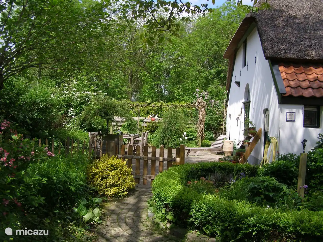 Garten vom Haus aus gesehen