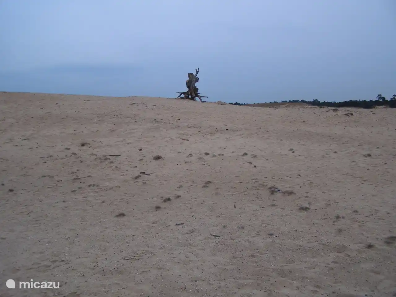 Nationalpark De Hoge Veluwe, tolles Radfahren und Wandern