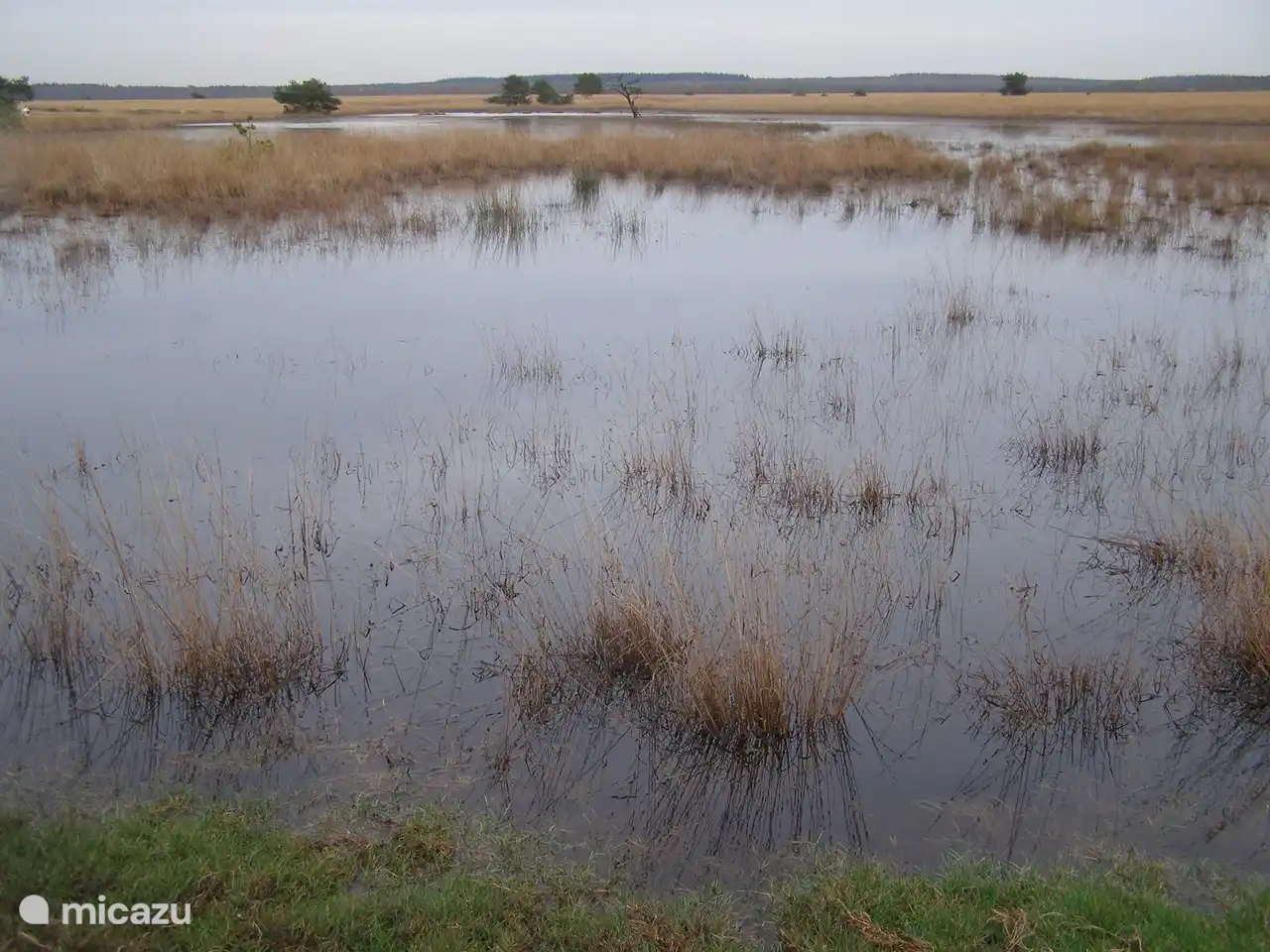 Nationalpark De Hoge Veluwe