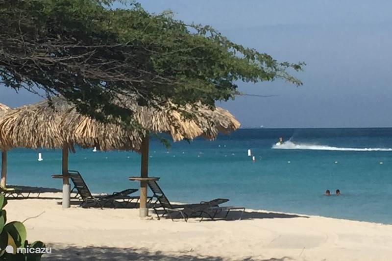 Vacation rental Aruba, Oranjestad, Oranjestad Villa Casa Blenchi