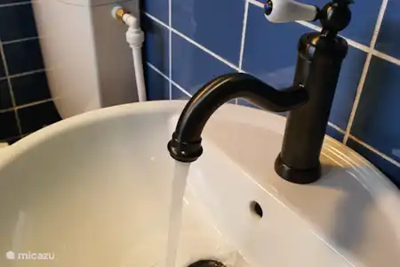 Vakantiehuis Nederland, Overijssel, Giethoorn vakantiehuis Vakantiehuis Zwarte Stern Giethoorn