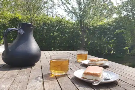 Vakantiehuis Nederland, Overijssel, Giethoorn vakantiehuis Vakantiehuis Zwarte Stern Giethoorn