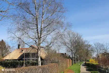 Vakantiehuis Nederland, Overijssel, Giethoorn vakantiehuis Vakantiehuis Zwarte Stern Giethoorn