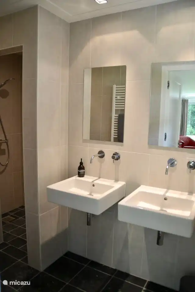 salle de bain avec douche