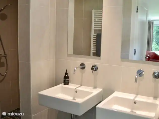 Cuerno de violinista en Países Bajos, Holanda del Norte, Hoorn - casa vacacional baño con ducha