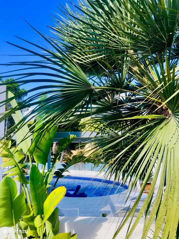 Chica Del Mar - Blick auf den Pool