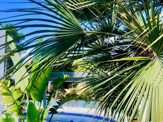 Chica Del Mar huren in Spanje, Costa Blanca, Benissa - villa Chica Del Mar - zicht op het zwembad