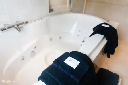 Ferienwohnung Niederlande, Drenthe, Ruinerwold villa Villa Het Heerenhuys