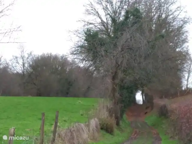 vakantiehuis huren in Nederland, Limburg, Klimmen – Hof Caerdebeeck - De Bron De holle -onverharde- weg naar station Klimmen-Ransdael, langs mais, peren en appelvelden