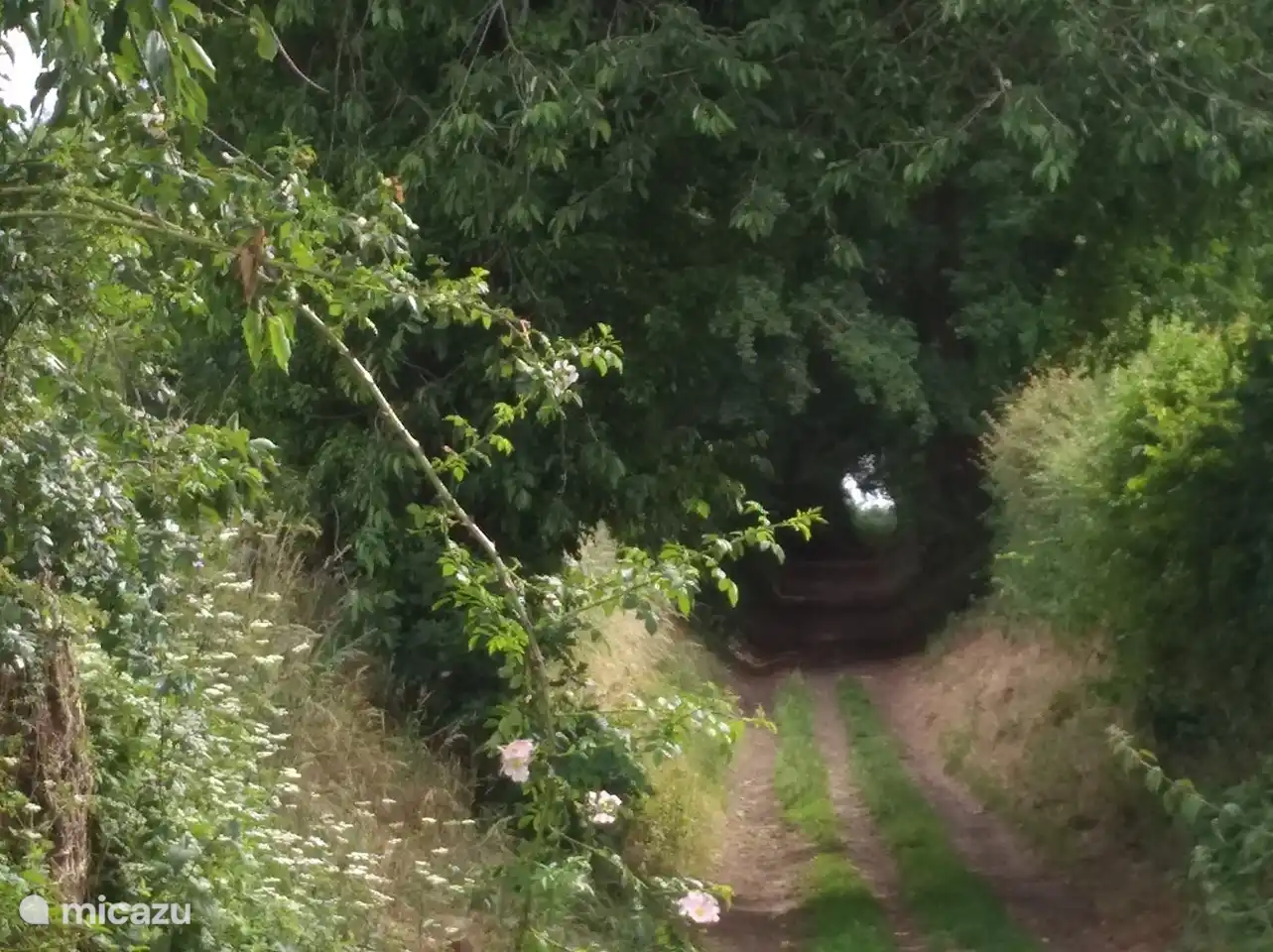 Dezelfde weg, in de zomer. Tevens een wandeling om en door het dorp.