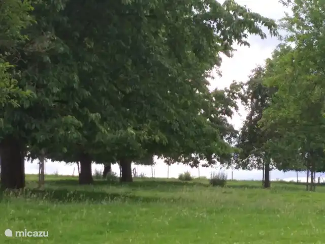 vakantiehuis huren in Nederland, Limburg, Klimmen – Hof Caerdebeeck - De Bron De boomgaard ofwel 'De Kersentuin'