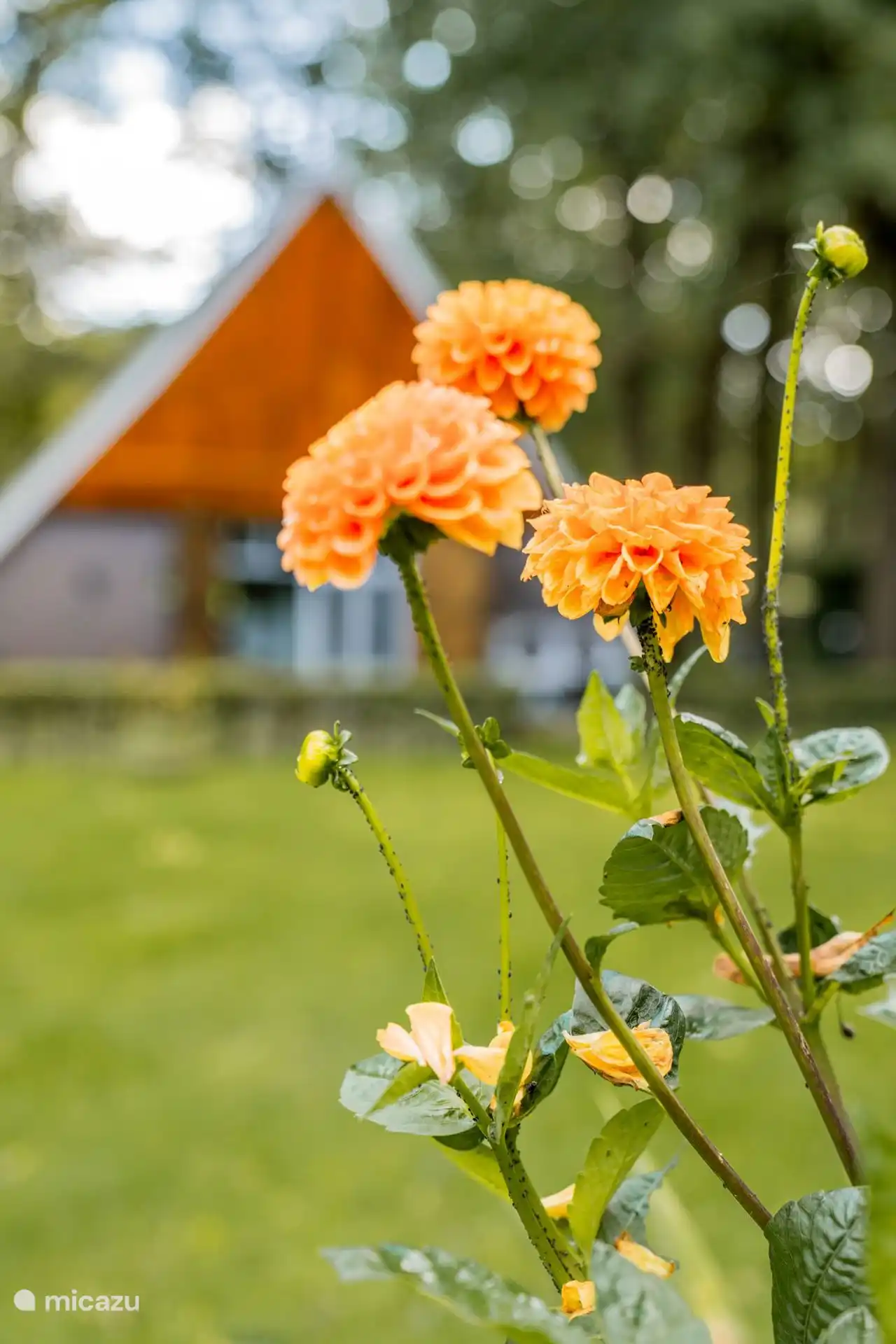 Du kannst mit uns direkt in die Natur gehen