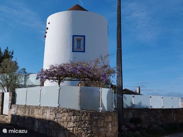 Vakantiehuis Portugal, Costa de Prata – molen Moinho Branco